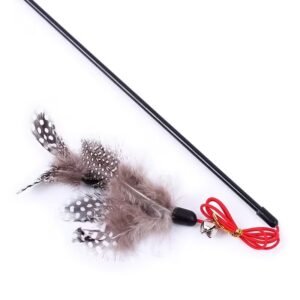 Interactive Cat Toy - Teaser Stick with Feather