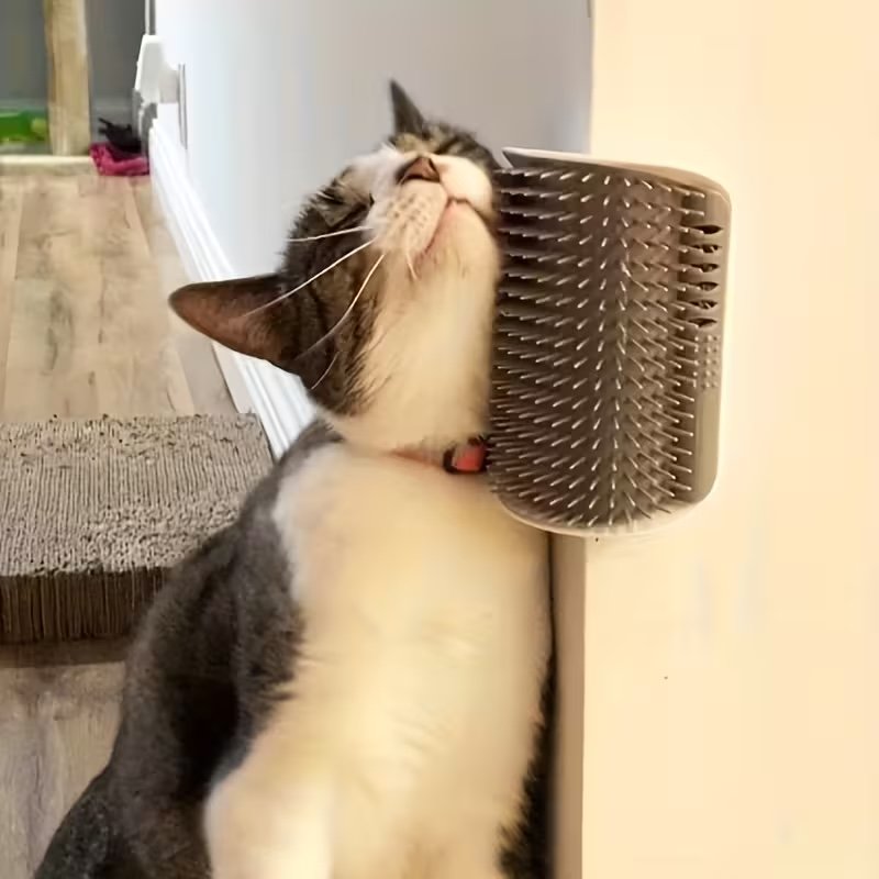 2-in-1 Cat Groomer & Scratching Post - Image 2