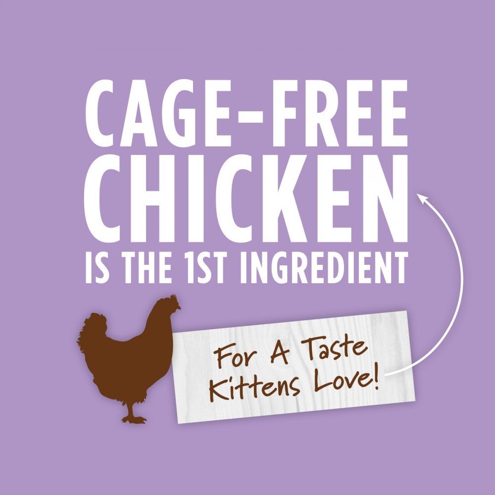 Instinct Cat Original Wet Food for Kittens - Image 4