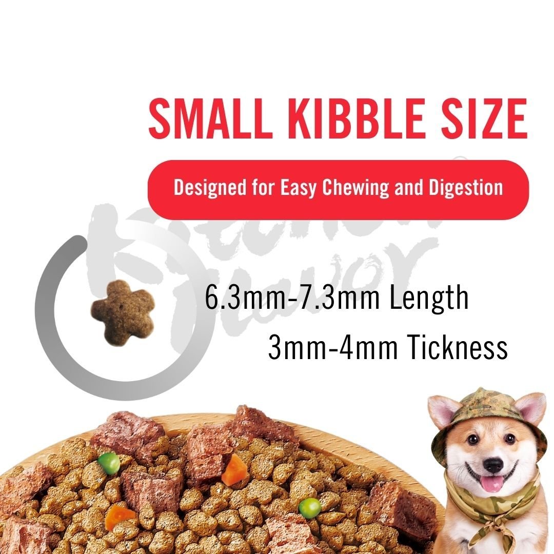Kitchen Flavor Dog 10kg Nature Gourmet Salmon For Beauty Dog For All Life Stages - Image 2